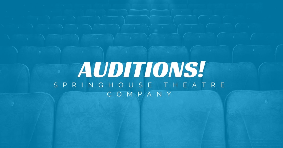 cover image for auditions